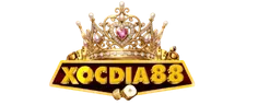 xocdiadoithuongonline.app