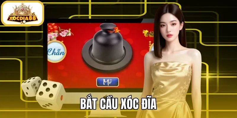 Bắt Cầu Xóc Đĩa - Cách Đọc Bảng Vị Chuẩn Tại Xocdia88