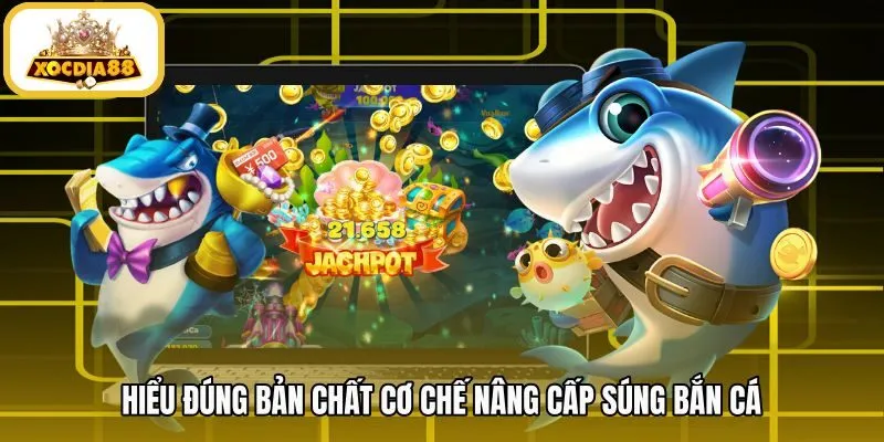 hieu-dung-ban-chat-co-che-nang-cap-sung-ban-ca Cơ chế nâng cấp súng bắn cá cùng thuật toán ngẫu nhiên