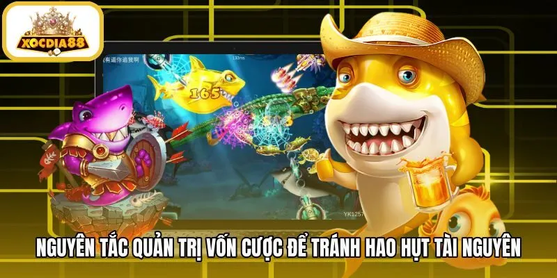 nguyen-tac-quan-tri-von-cuoc-de-tranh-hao-hut-tai-nguyen Kiểm soát nâng cấp súng bắn cá và bảo toàn số dư